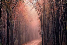 黑白体育：罗马诺：切尔西要为昆达支付万欧，希望夏窗领先其他球队.