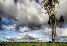 [图]约基奇35+18+8亚历山大25+7 掘金终结雷霆7连胜.