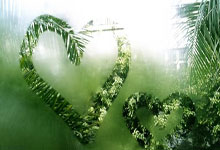 挺全面!哈登打满首节拿到7分4板4助 正负值+10__财经头条.